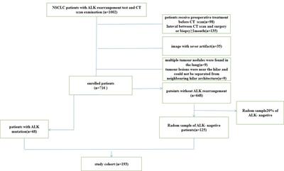 Predicting anaplastic lymphoma kinase rearrangement status in patients with non-small cell lung cancer using a machine learning algorithm that combines clinical features and CT images